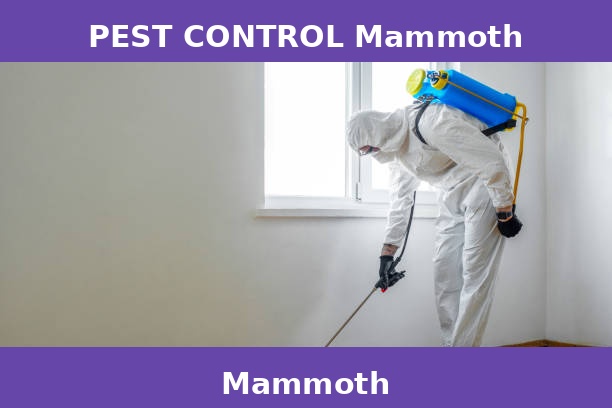 PEST CONTROL Mammoth